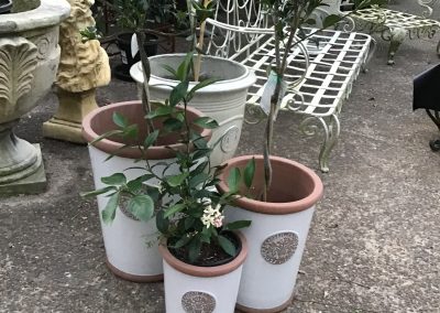 Set of 3 White Garden Pots   Sm $45  Med $75  Lge $95