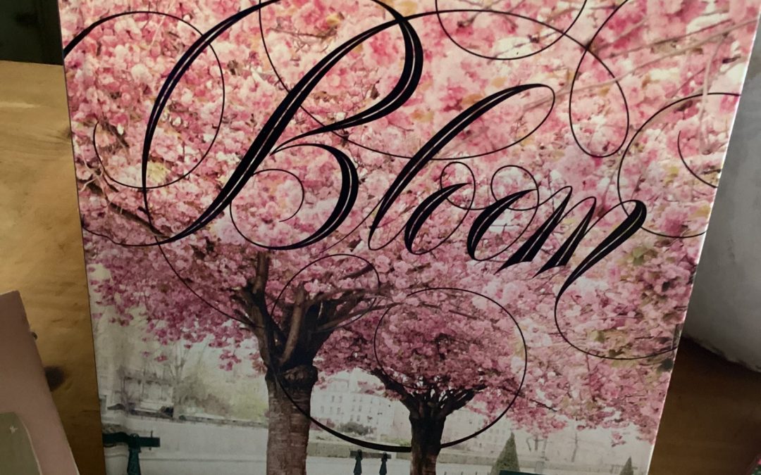 Paris in Bloom by Georgianna Lane $34.99