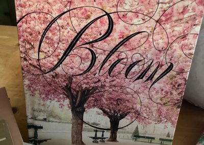 Paris in Bloom by Georgianna Lane $34.99