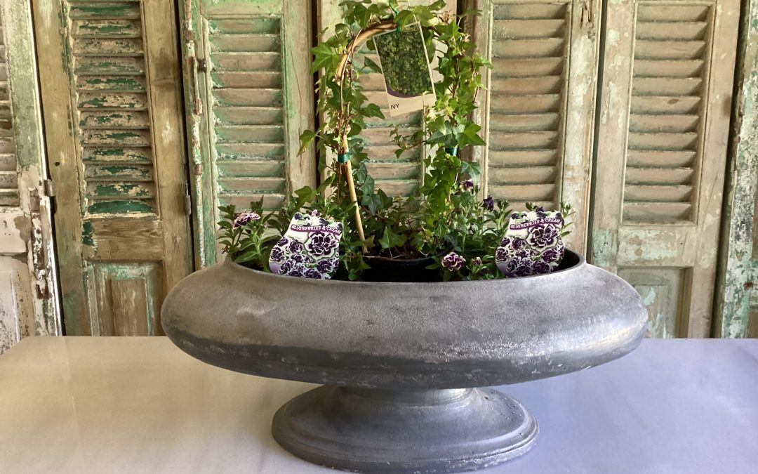 Oval Pewter Plant Feature Arrangement $495